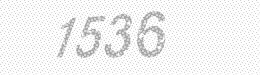 Visual security code — type the characters shown in the image