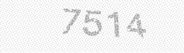 Visual security code — type the characters shown in the image